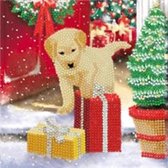Crystal Card® Labrador Pup (18x18cm) - Kerst - Cadeautje