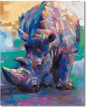 schilderen op nummer neushoorn 40x50cm