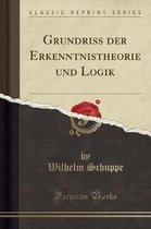 Grundriss Der Erkenntnistheorie Und Logik (Classic Reprint)