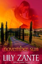 November Sun