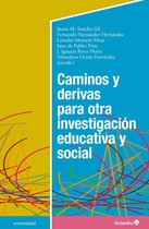 Universidad - Caminos y derivas para otra investigación educativa y social