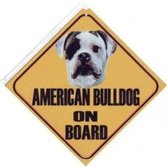Autobordje Amerikaanse Bulldog Vooraanzicht