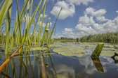 Fotobehang Riviertje de Meije Woerdense Verlaat 450 x 260 cm - € 295,--