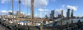 Fotobehang Rotterdam Skyline en Erasmusbrug 450 x 260 cm - € 295,--