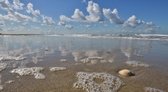 Fotobehang vloedlijn langs het Noordzeestrand 350 x 260 cm