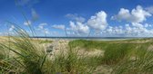 Fotobehang Bankje in de duinen van Vlieland 450 x 260 cm - € 295,--