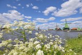 Fotobehang Molens aan de Zaanse Schans 450 x 260 cm - € 295,--