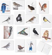 Vogel Wenskaarten set - 15 stuks- Blanco- Ansichtkaarten - Postkaarten - De originele illustraties zijn handgemaakt door Angela