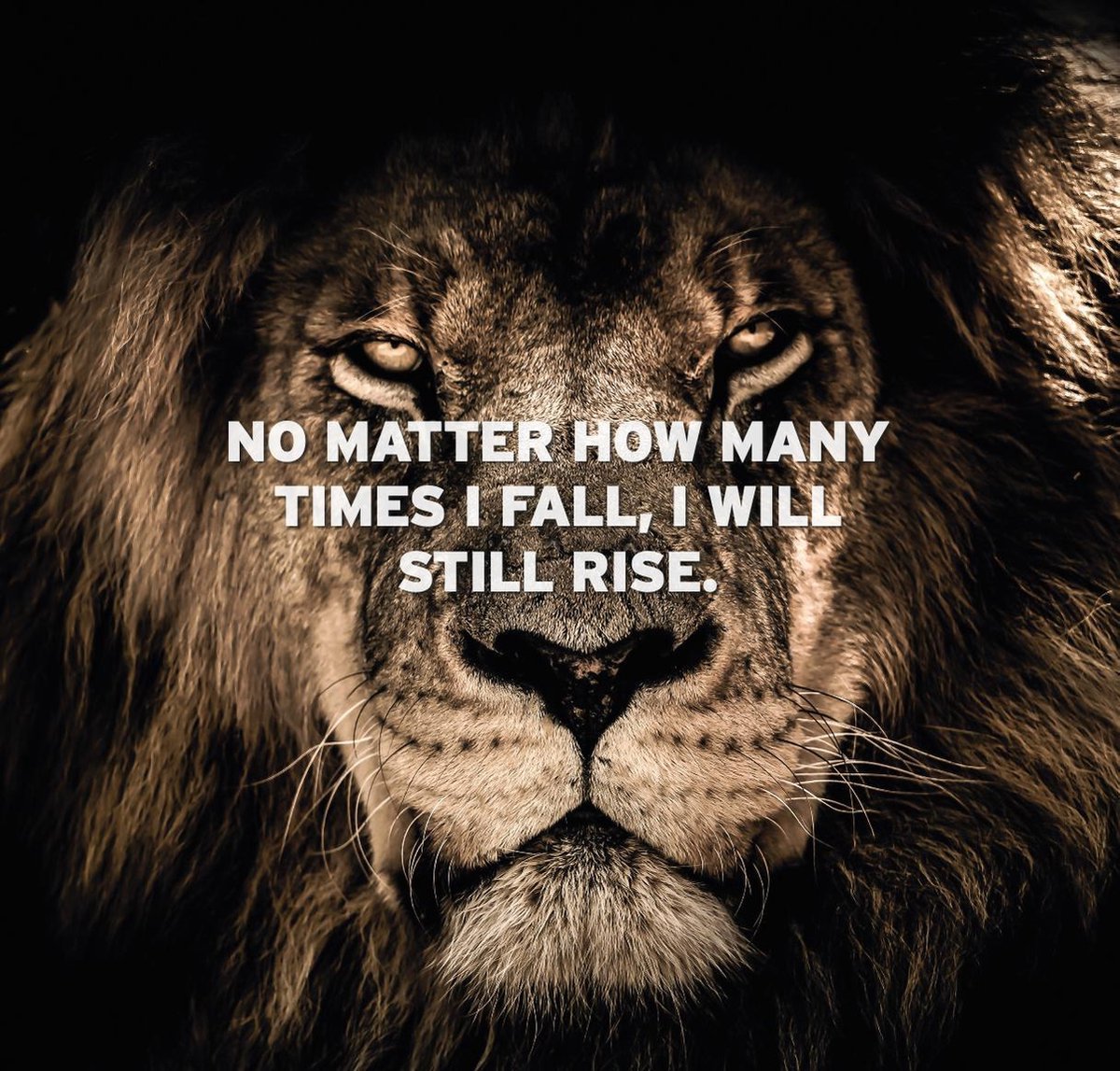 Schilderij Woonkamer - Kantoor Mindset - Motivatie Quote Leeuw II - Canvas 60 x 60 cm - PosterGuru