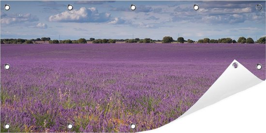 Tuinposter Lavendelveld 100 x 50 cm incl. Metalen ringen - (Buitenposter - Tuindoek - Buitencanvas - Schilderijen voor buiten - tuin decoratie)