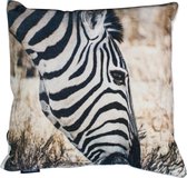 Sierkussen - Fluweel Jungle Zebra - Multicolor - 45 Cm X 45 Cm