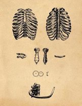 Anatomy Notebook: Andreas Vesalius - Bones of the Thorax - Premium College Ruled Notebook 110 Pages