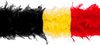 Belgische driekleuren, zwart-geel-rood