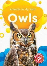 Animals In My Yard- Owls