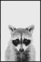 JUNIQE - Poster in kunststof lijst Raccoon Classic -30x45 /Wit & Zwart