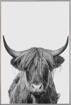 JUNIQE - Poster met kunststof lijst Highland Cow Classic -20x30 /Wit &