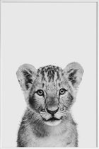 JUNIQE - Poster in kunststof lijst Lion Cub II Classic -40x60 /Wit &