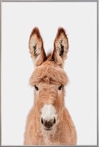 JUNIQE - Poster met kunststof lijst Donkey -40x60 /Bruin & Ivoor