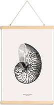 JUNIQE - Posterhanger Nautilusschelp -40x60 /Grijs & Ivoor