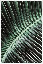 JUNIQE - Poster met kunststof lijst Curved Palm -13x18 /Groen