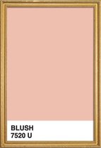 JUNIQE - Poster met houten lijst Blush -13x18 /Roze & Wit