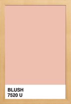 JUNIQE - Poster met houten lijst Blush -13x18 /Roze & Wit