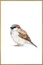 JUNIQE - Poster met kunststof lijst Spatz -30x45 /Bruin & Wit