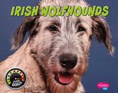 Big Dogs - Irish Wolfhounds