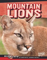 Big Cats - Mountain Lions