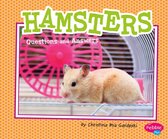 Pet Questions and Answers - Hamsters