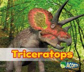 All About Dinosaurs - Triceratops