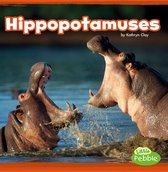 Mammals In the Wild - Hippopotamuses