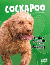 Top Hybrid Dogs - Cockapoo
