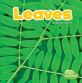 Plant Parts - Leaves