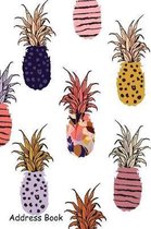 Address Book: For Contacts, Addresses, Phone, Email, Note, Emergency Contacts, Alphabetical Index with Hand Drawn Pineapple