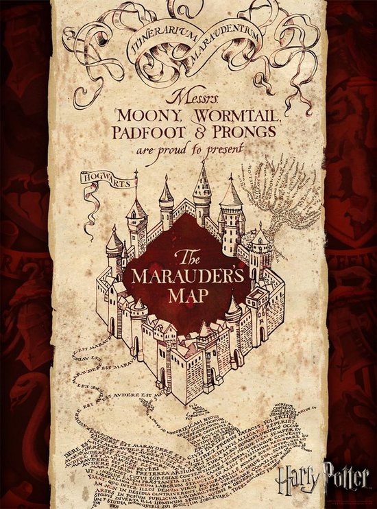 Puzzle Harry Potter Verseau Carte du Maraudeur (1000 pièces) | bol