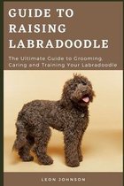 Guide to Raising Labradoodle