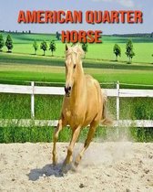 American Quarter Horse