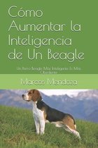 Cómo Aumentar la Inteligencia de Un Beagle