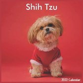 Shih Tzu Calendar 2022