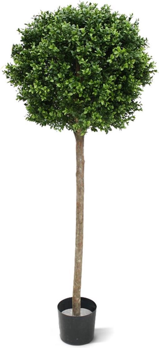 Buxus bol op stam kunstplant 140cm - UV bestendig