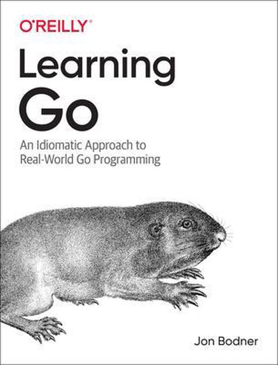Learning Go An Idiomatic Approach to RealWorld Go Programming