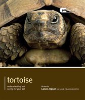 Tortoise - Pet Expert