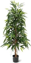 Longifolia Royal kunstboom 150cm