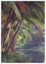 Poster Met Witte Lijst - Palm Jungle Poster