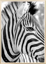 Poster Met Metaal Gouden Lijst - Zebra Poster