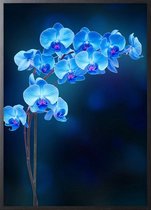 Poster Met Zwarte Lijst - Blauwe Orchidee Poster