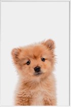 JUNIQE - Poster in kunststof lijst Puppy II -30x45 /Bruin