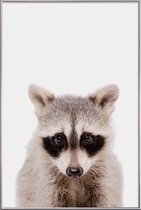JUNIQE - Poster met kunststof lijst Raccoon -13x18 /Grijs & Zwart
