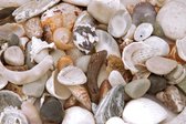 Tuinposter - Zee / Water / Strand - Strand in beige / bruin / wit / zwart - 120 x 180 cm.